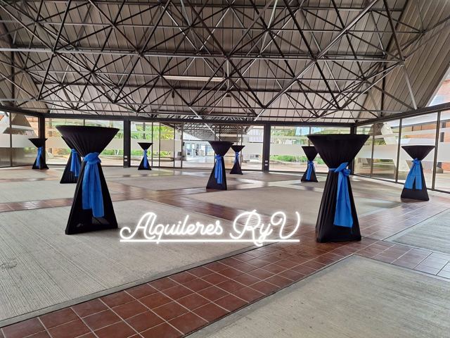Cocteleras negras con lazo azul, vista cercana